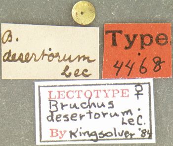 Media type: image;   Entomology 4468 Aspect: labels
